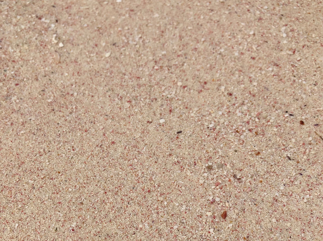 Owen Island-Little Cayman必去景点