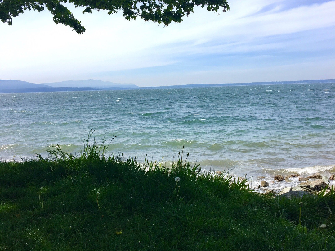 South Bay Trail景点图片