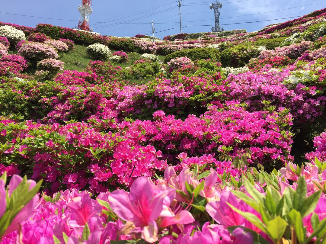 防府市旅游景点-Ohira Mountaintop Park