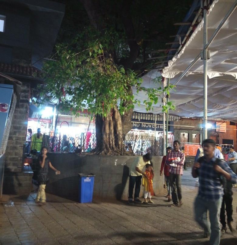 Sri Shirdi Sai Baba Temple景点图片