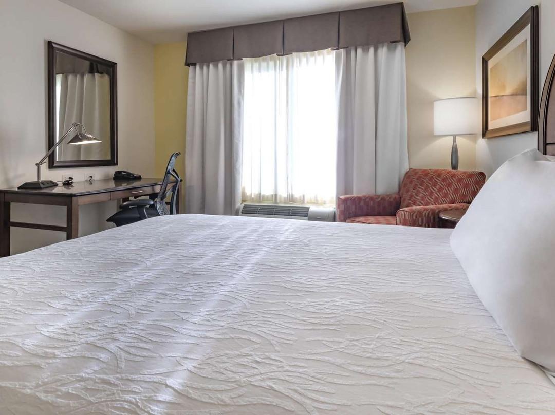 德文斯共同希尔顿花园酒店主图