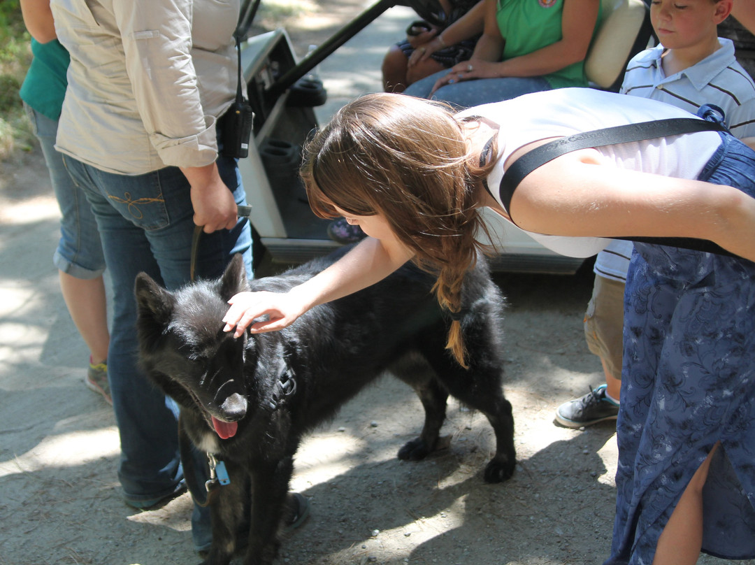 Wildlife Images - Rehabilitation & Education Center-格兰茨帕斯必去景点