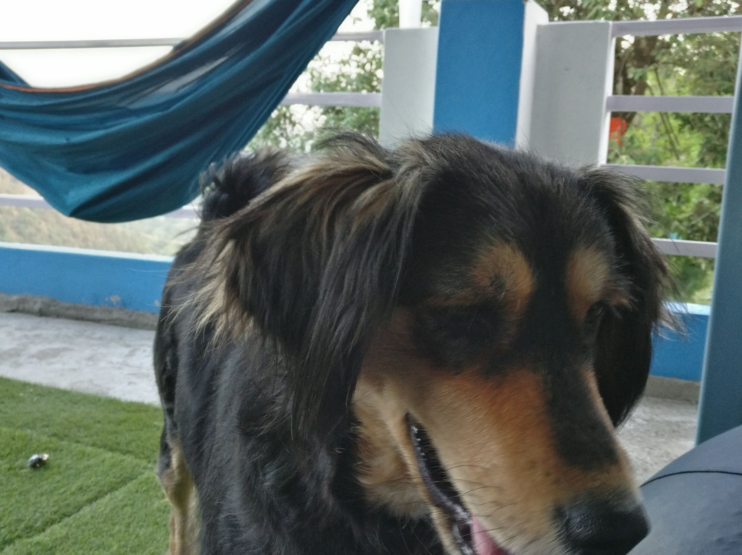 Zostel Mukteshwar主图