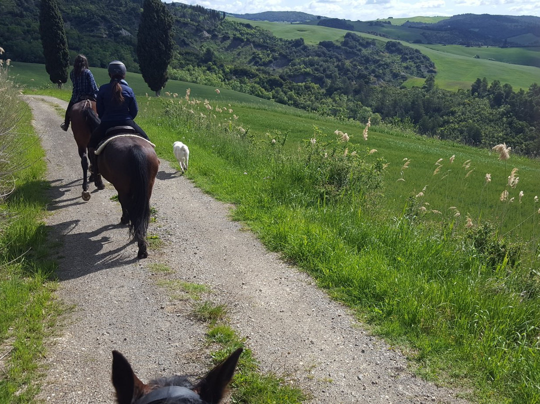 Centro Equestre Samarcanda景点图片