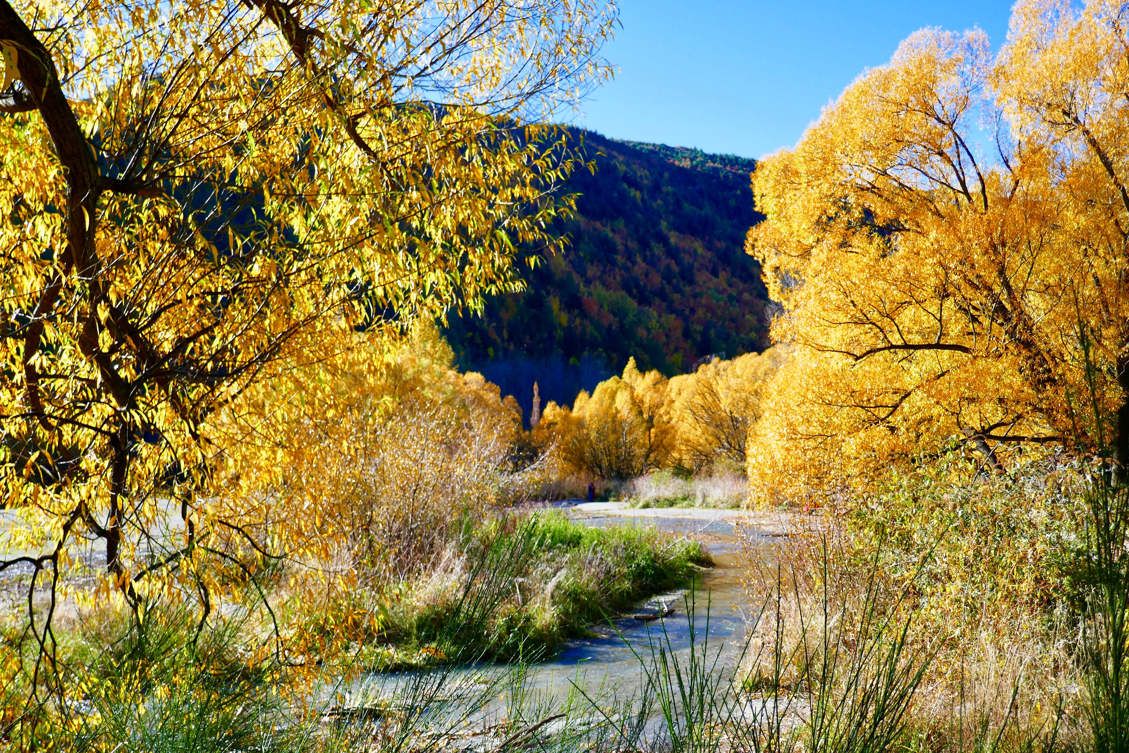 阿罗敦夜色酒店-浴室