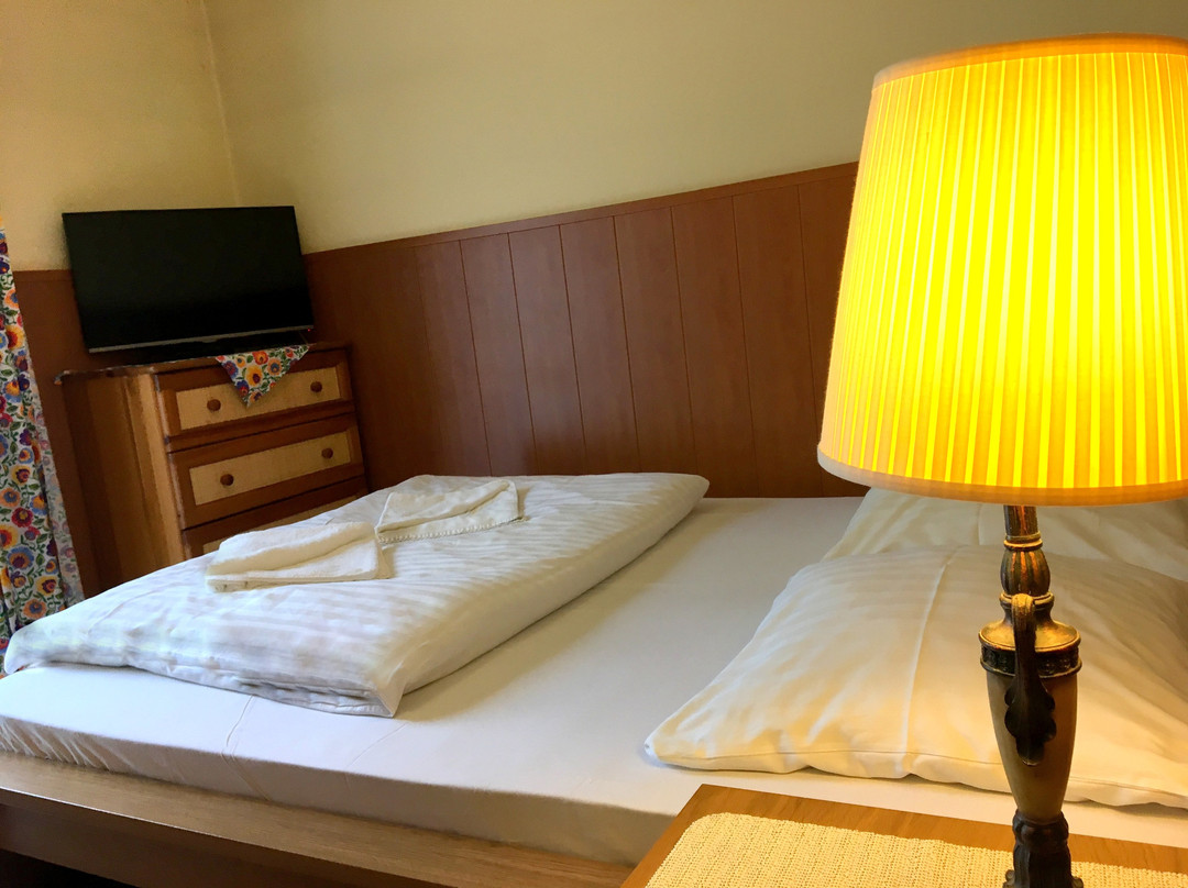 Pensjonat Karczma Beskidzka主图