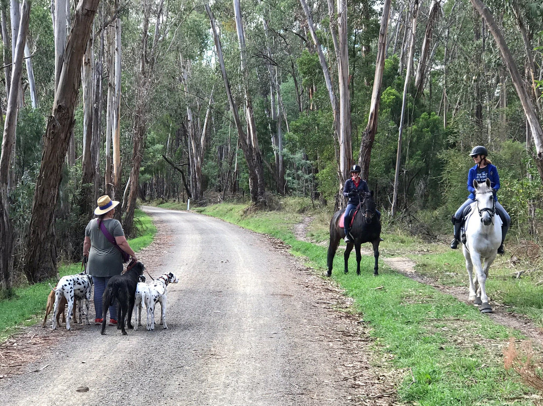 Lilydale to Warburton Rail Trail景点图片