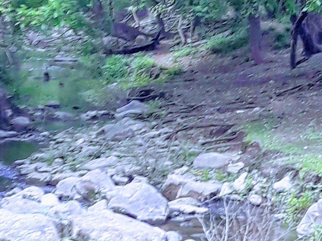 2023年12月San Antonio de Arredondo旅游景点攻略San Antonio de Arredondo旅游住宿