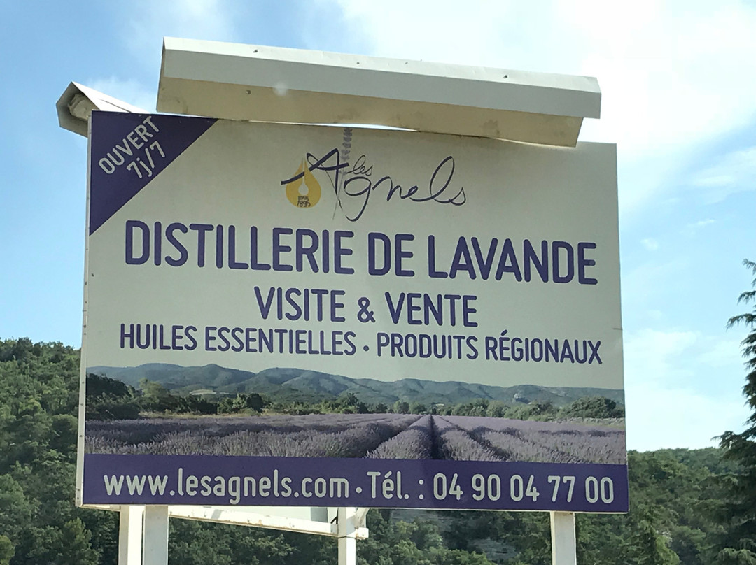 Les Agnels Distillerie de Lavande-Apt必去景点