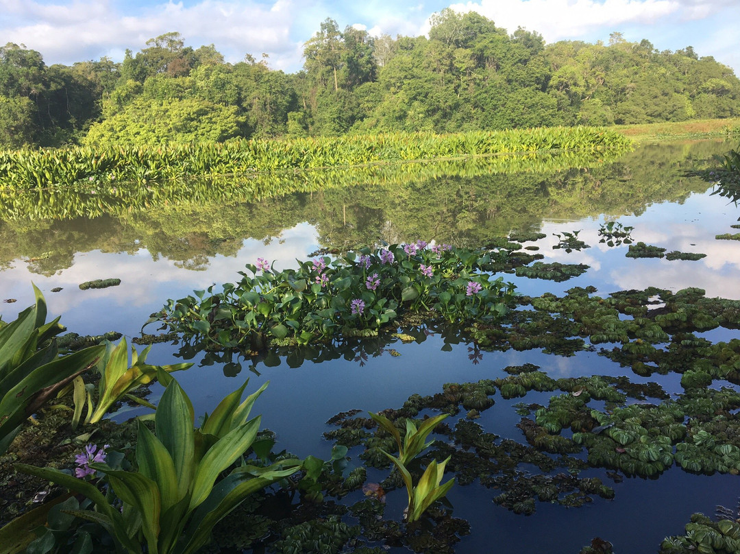 京那巴当岸区旅游攻略图片