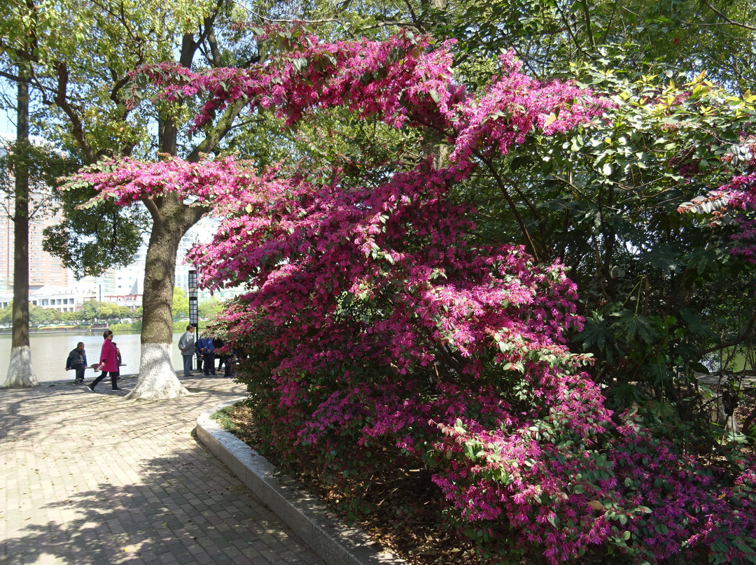 芜湖镜湖公园-芜湖必去景点
