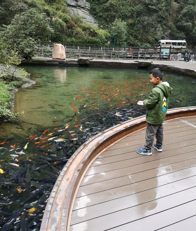 张家界仙人溪-张家界市必去景点