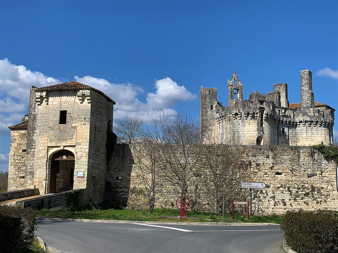 Château de Mareuil景点图片