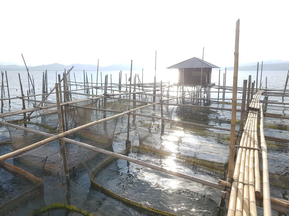 Lake Tondano景点图片