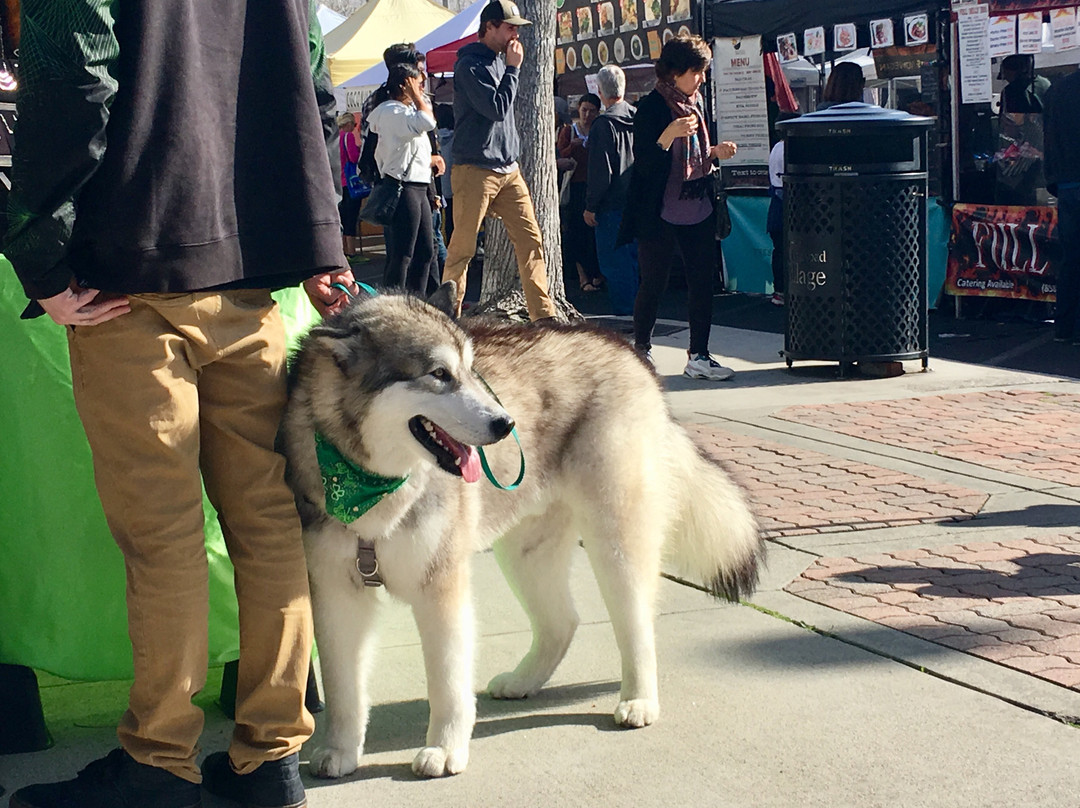 Carlsbad Village Farmers' Market-卡尔斯巴德必去景点
