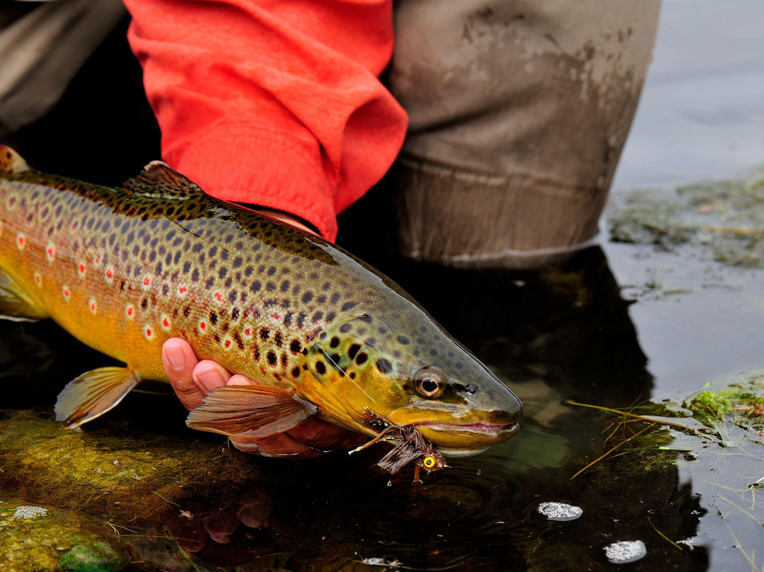 Kingfisher Lodge