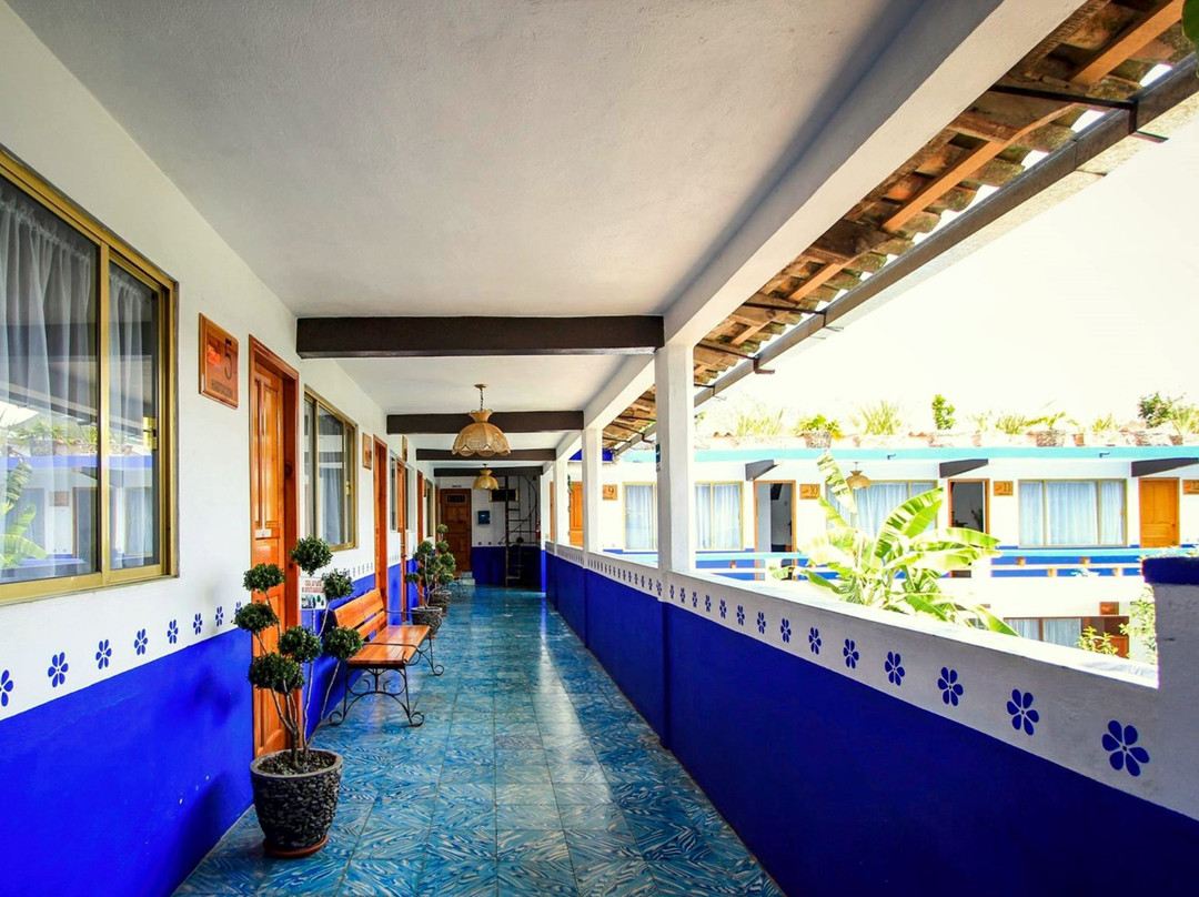 Hostal Plaza Central主图