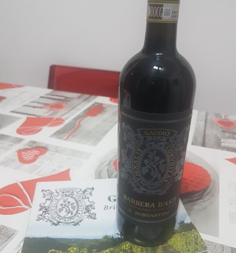 Gaudio Bricco Mondalino-Vignale Monferrato必去景点