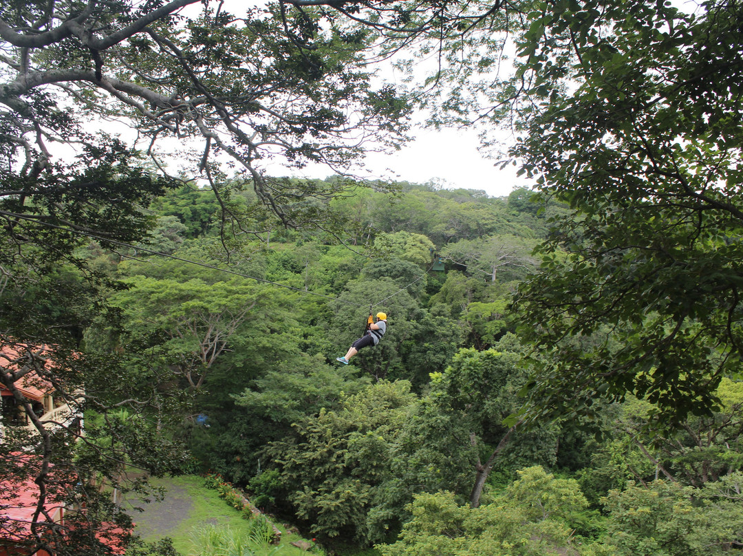 Witch's Rock Canopy Tour景点图片