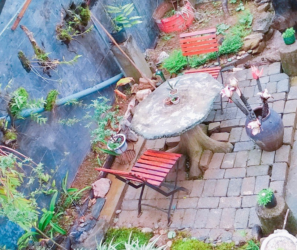 Chapi Homestay主图