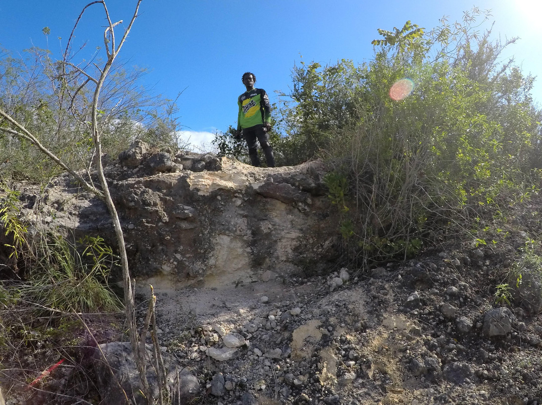 5150/Trails Mountain Bike Tours-Portmore必去景点