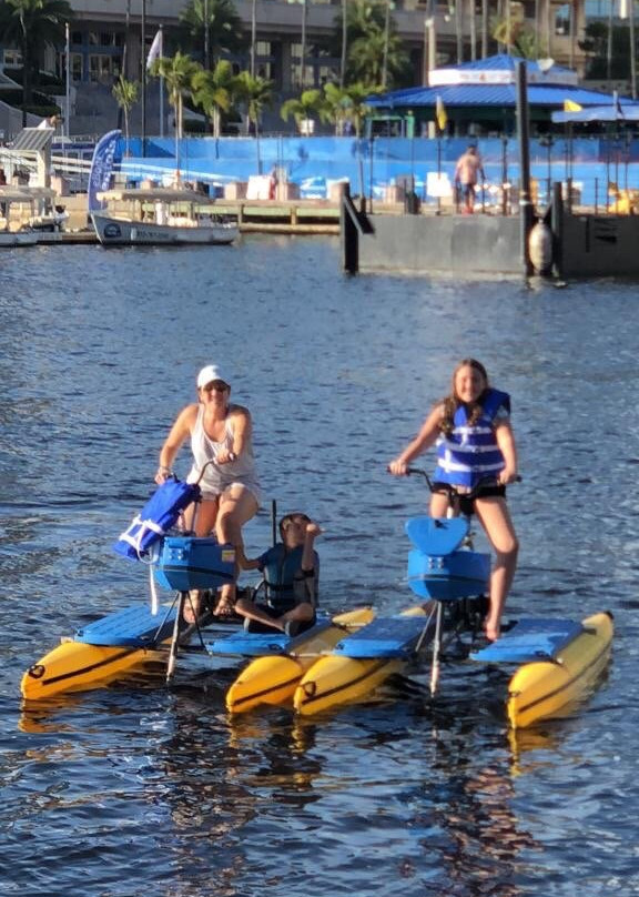 Tampa Bay Water Bike Company-坦帕必去景点