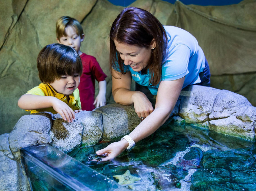 亚利桑那米尔斯购物中心-坦佩必去景点