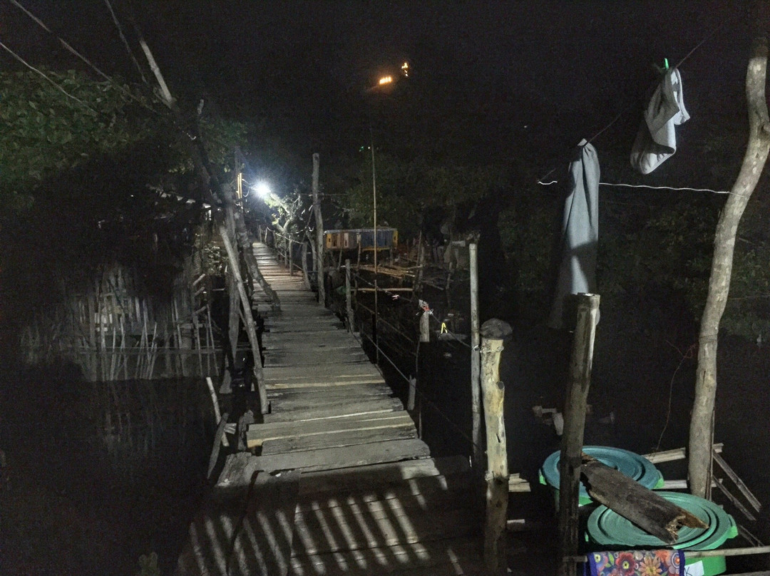 RB Transient House主图