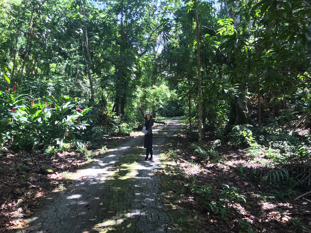 Hamamoto Tropical Fruit World-尤纳必去景点