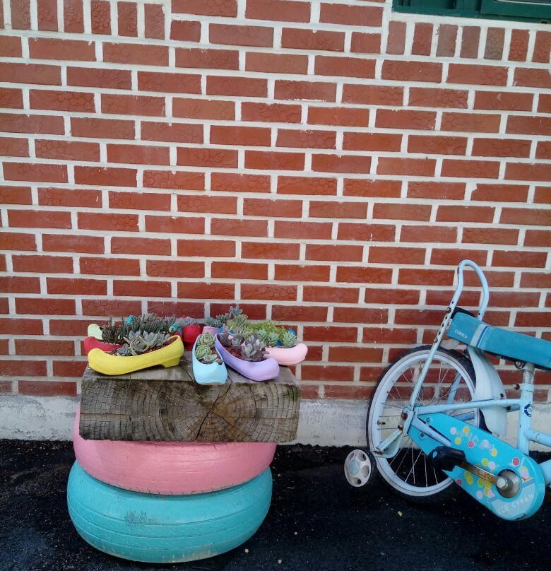 Gangju Sunflower Village-咸安郡必去景点