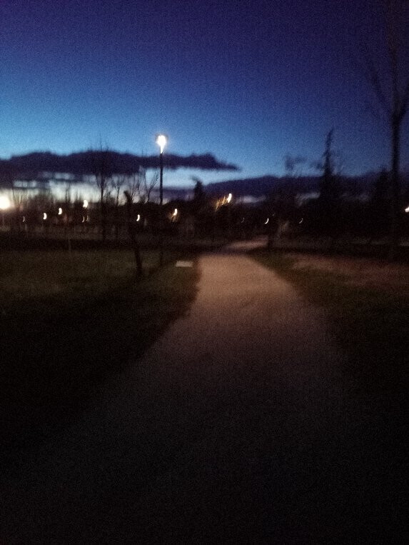 Parque Natural El Soto景点图片