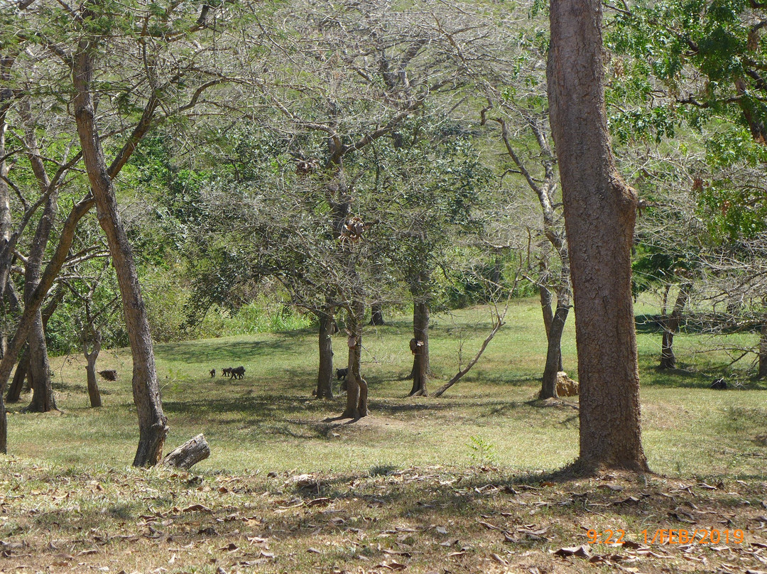 Sambiya River Lodge主图