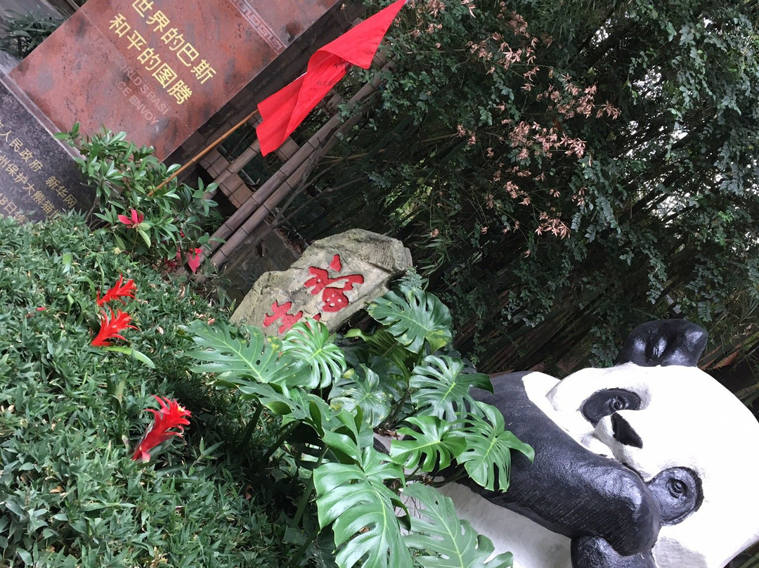 熊猫世界景点图片