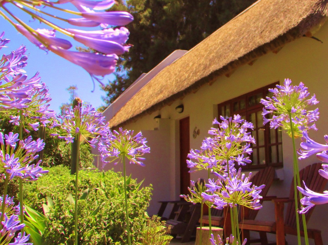 Rosedale Organic Farm B&B主图