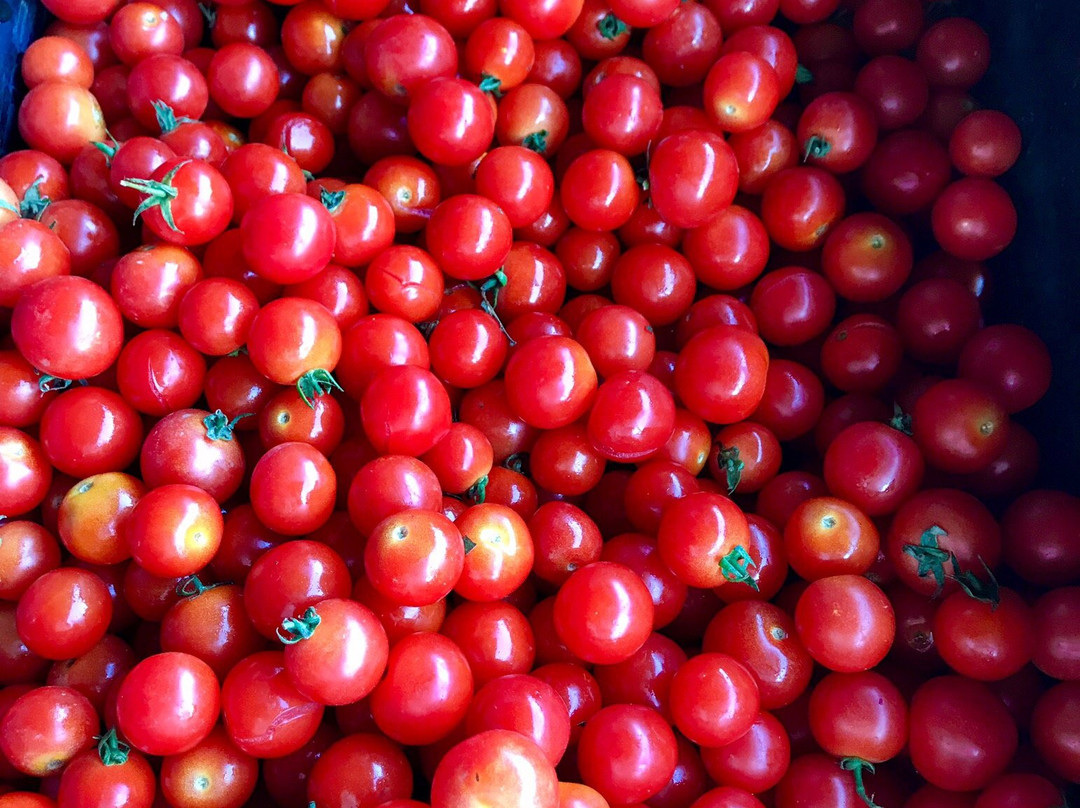 Laguna Niguel Farmer’s Market-拉古纳尼格必去景点