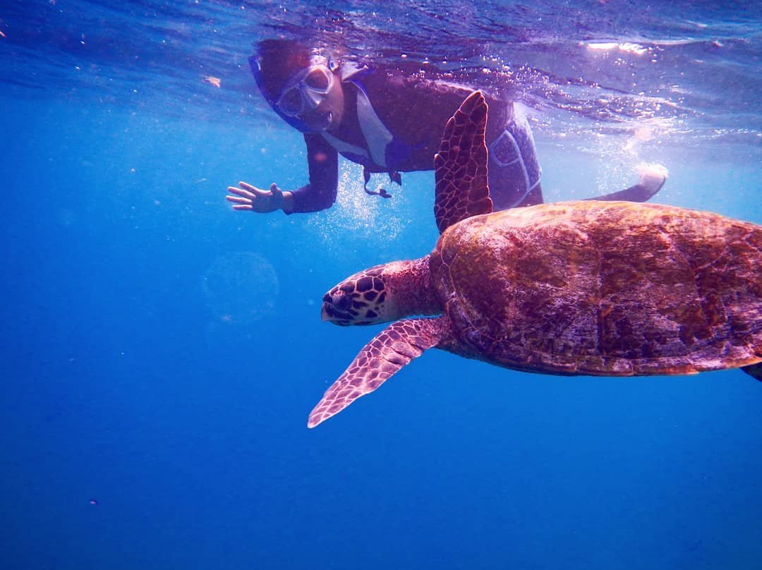 S&Y Tours and Travel-马累必去景点