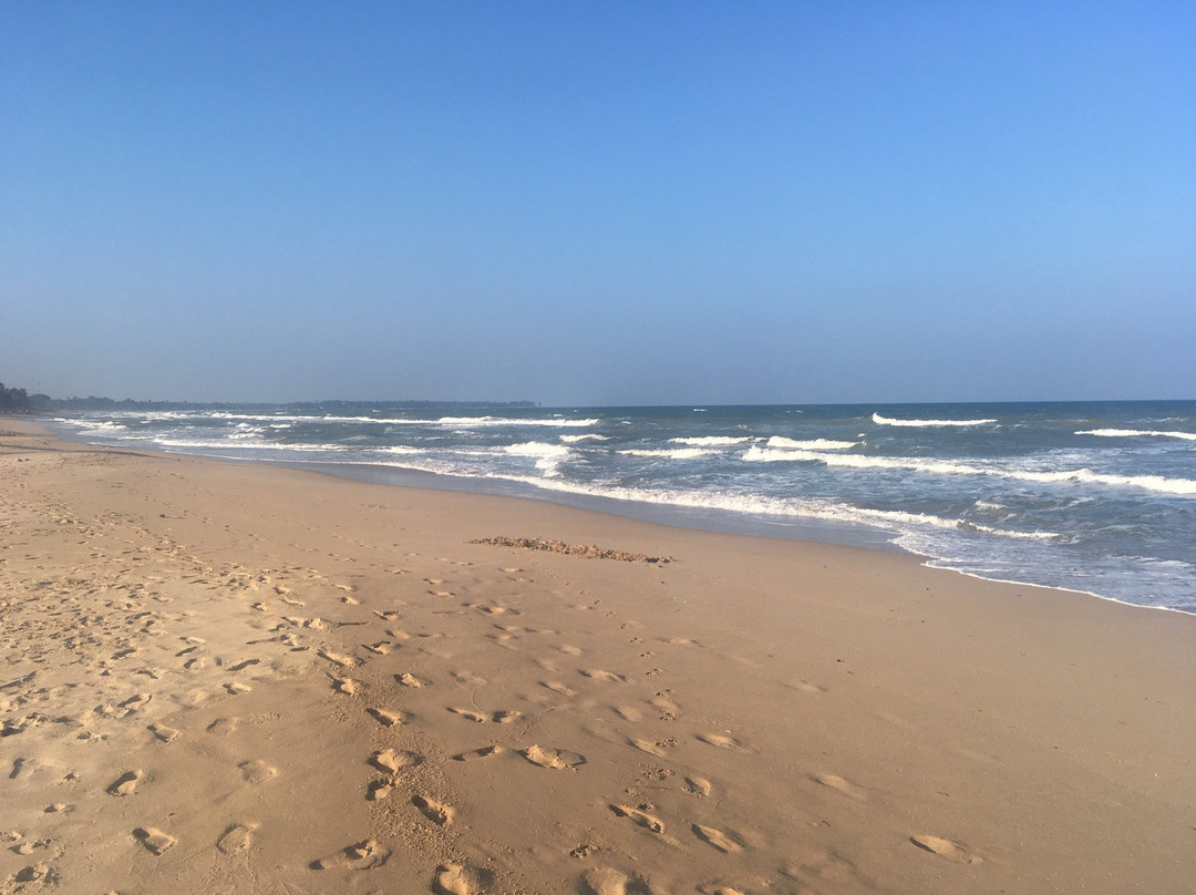 Elegant Green Beach Resort主图