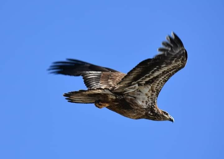 Isleta Lakes-Isleta必去景点