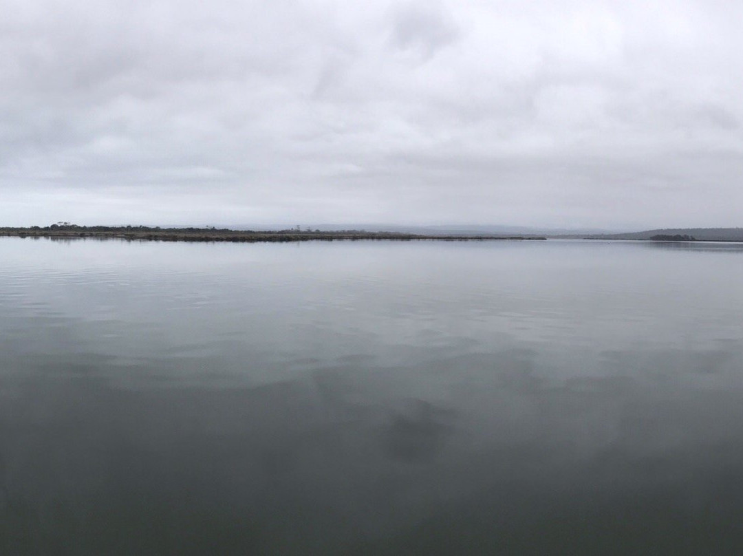 Moulting Lagoon Eco Tours景点图片