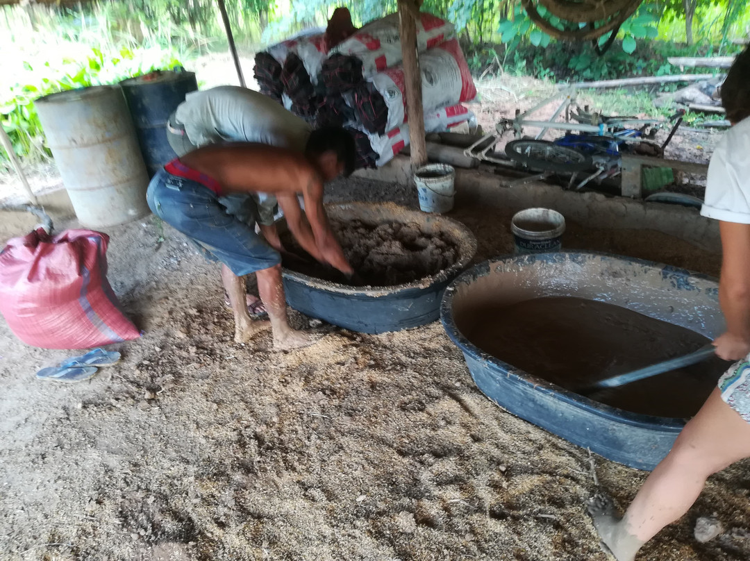 Organikh Project-Sisophon必去景点