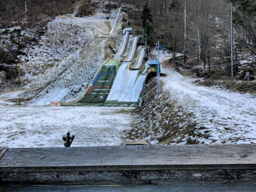 BohinjSKI FLYer景点图片