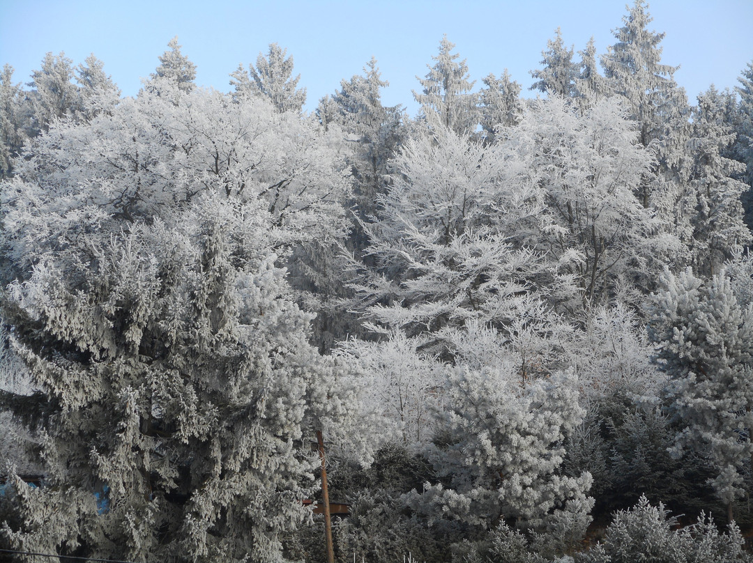 Hory旅游攻略图片