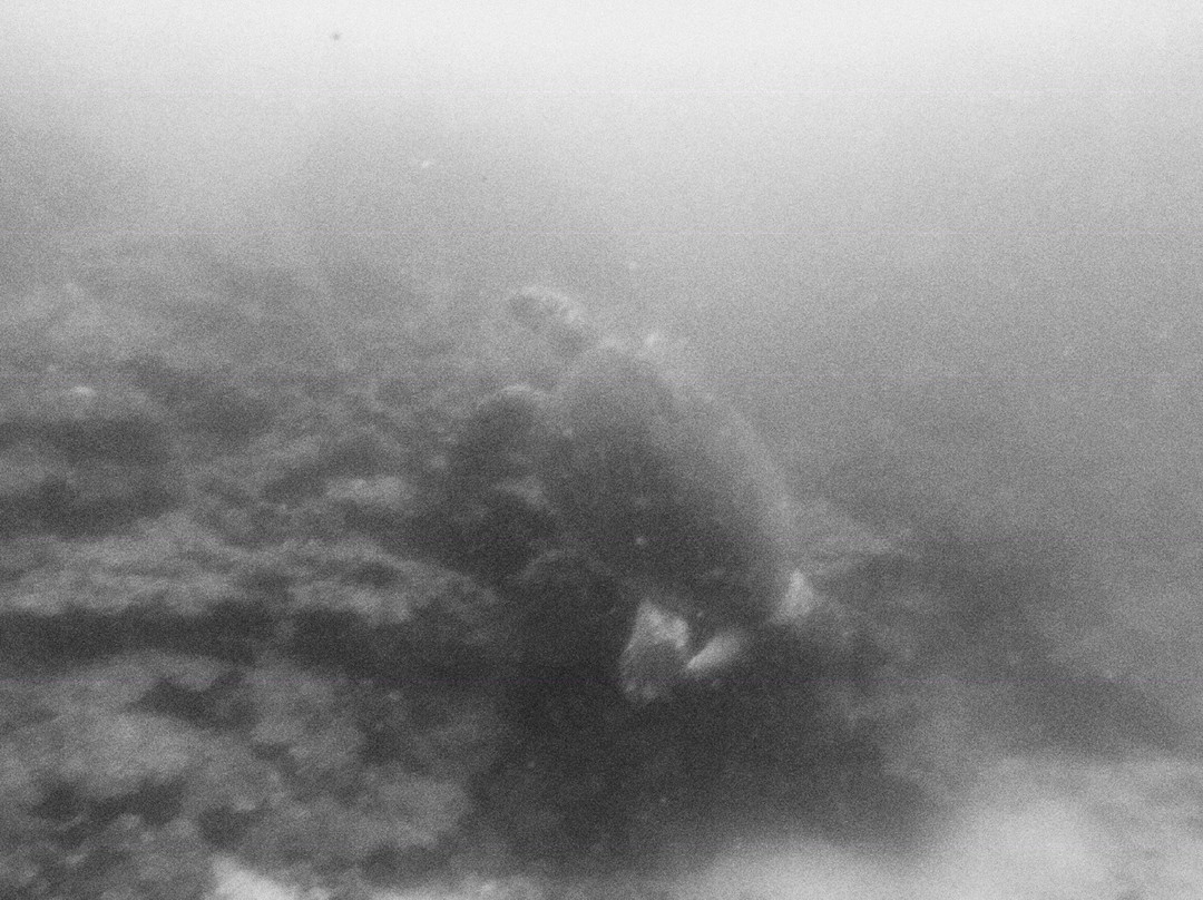 Musandam Discovery Diving-海塞卜必去景点