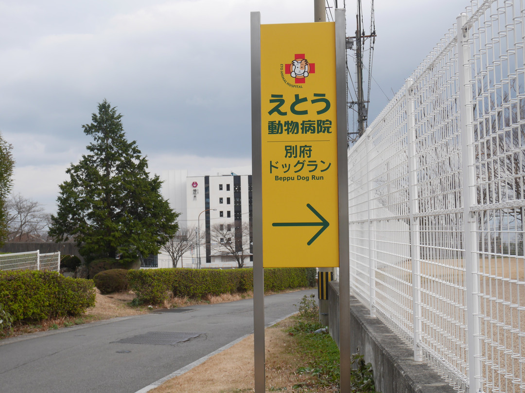 Beppu Municipal Dog Run-别府市必去景点