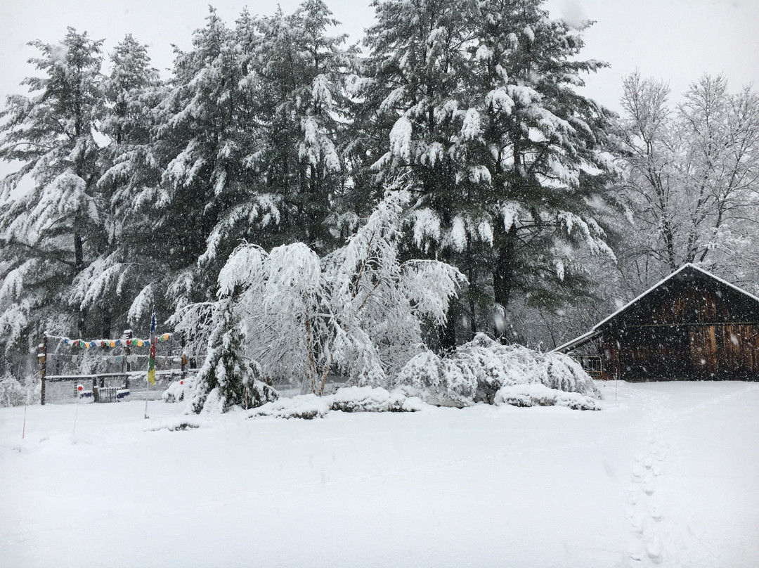 Namaste Inn Bed & Breakfast主图