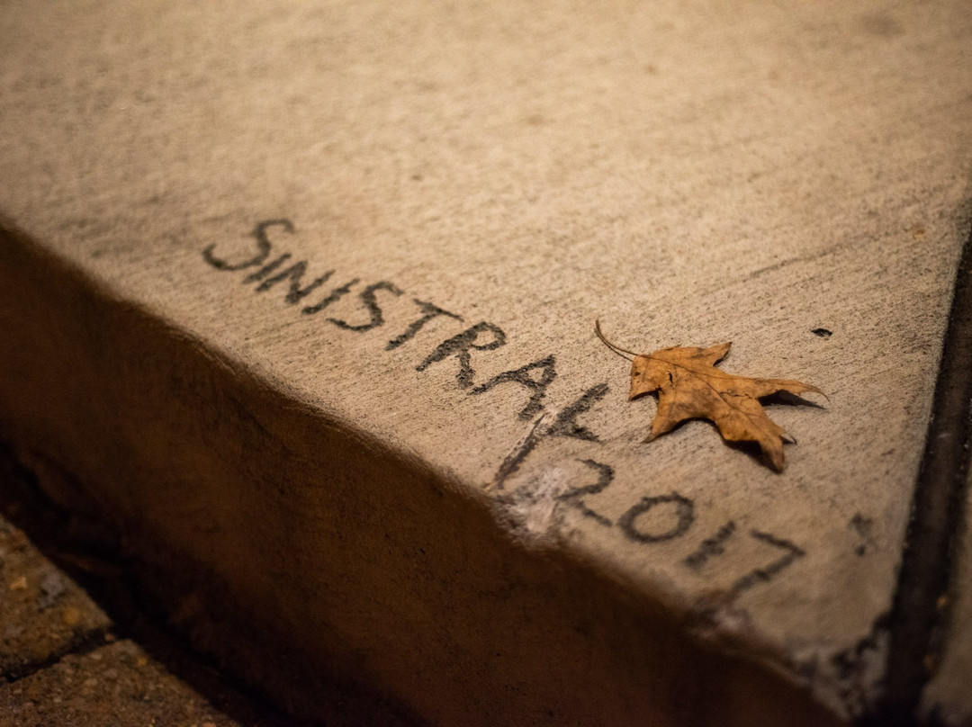 Sinistral Brewing Company-Manassas必去景点