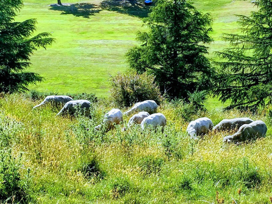 Blackley House B&B主图