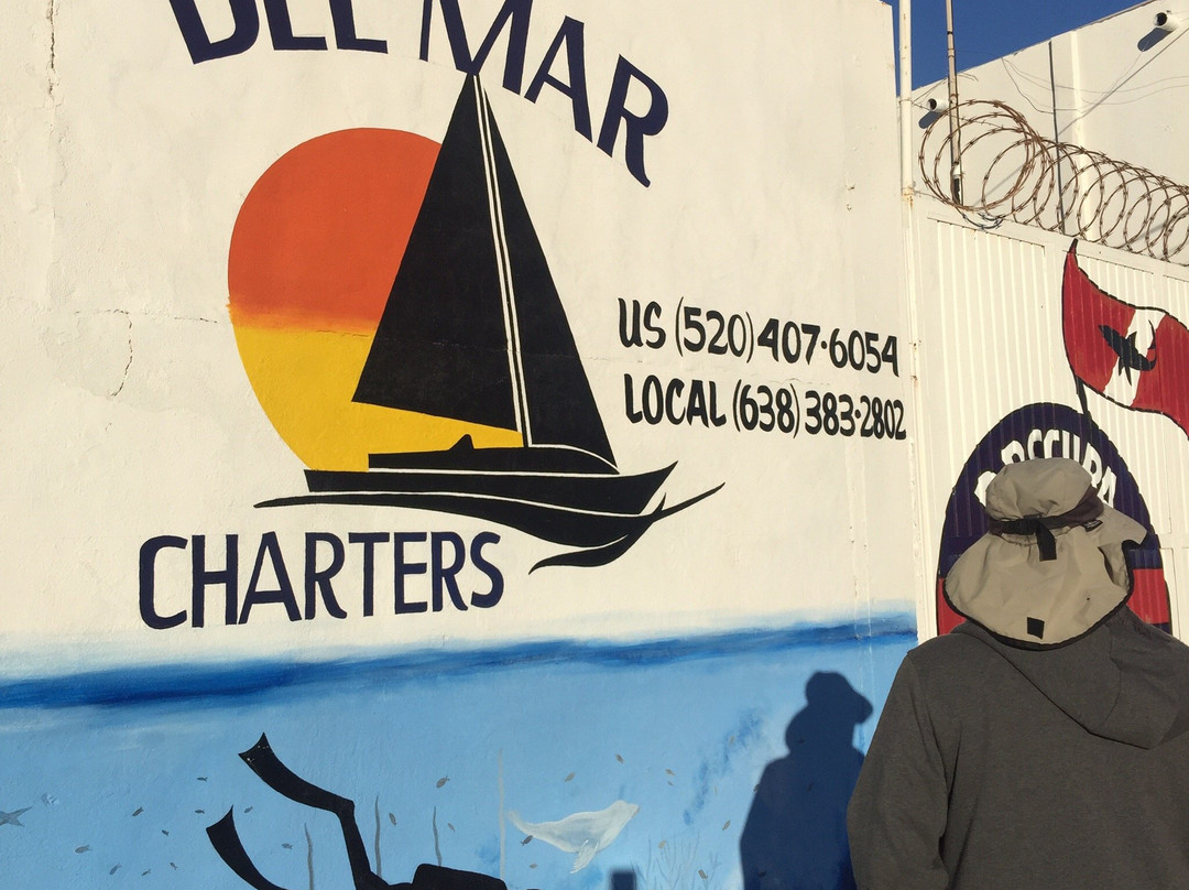 Isla San Jorge-佩纳斯科港必去景点