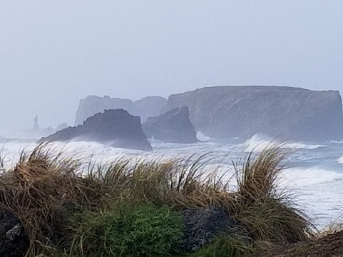 Lighthouse Cove Inn主图