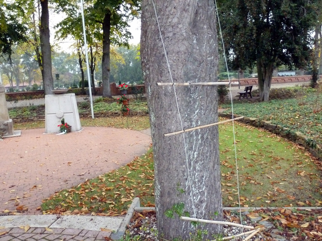 Ehrendenkmal der Gefallenen und Vermisten der zwei Weltkriege.景点图片